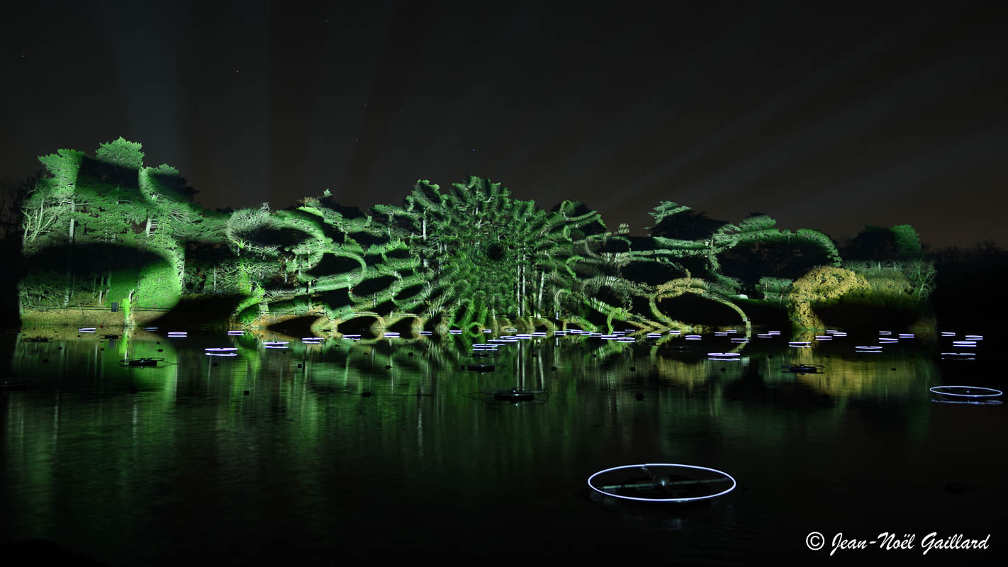 Fête des Lumières Lyon